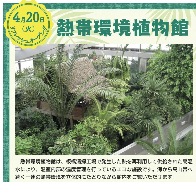 21年4月日 火 高島平の熱帯環境植物館がリフレッシュオープン いたばしtimes