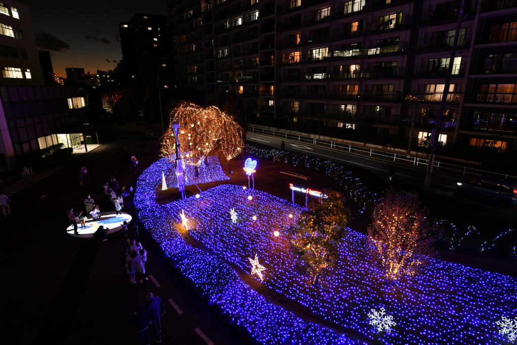 PSO_0111.jpg